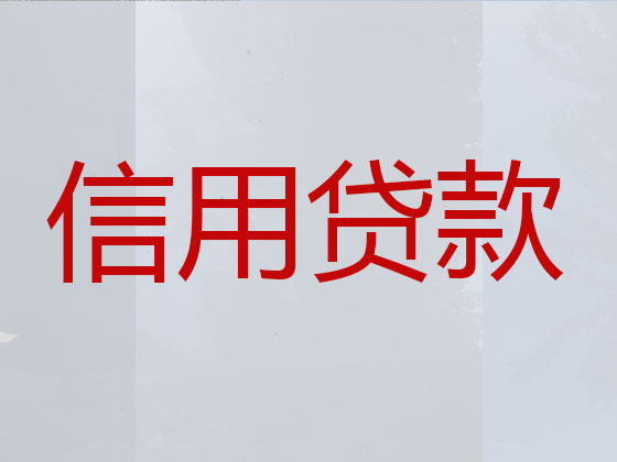 瑞安抵押贷款公司-信用贷款